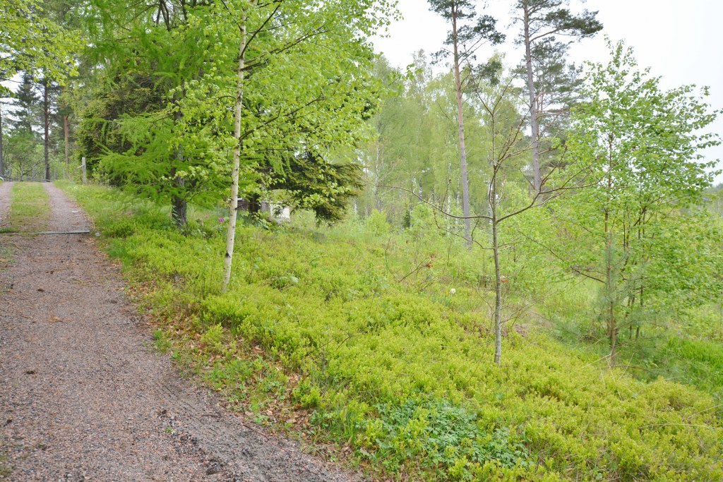 Trädgårdssångarvägen 4 – bild 8