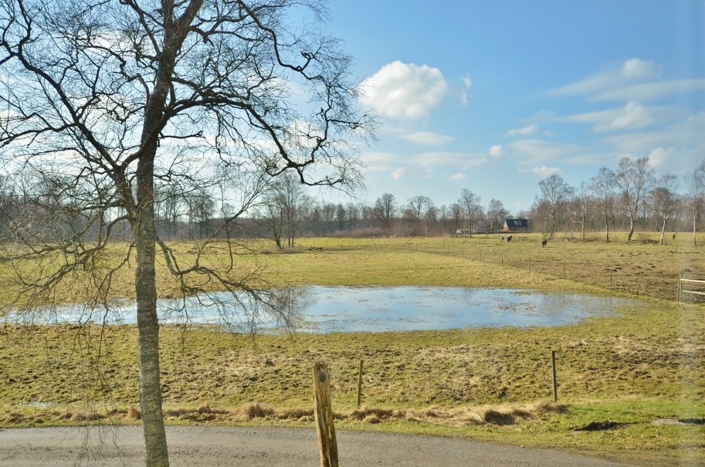 Stora Torsjö 3197 – bild 6