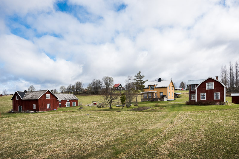 Yxskaftkälen 510 – bild 5
