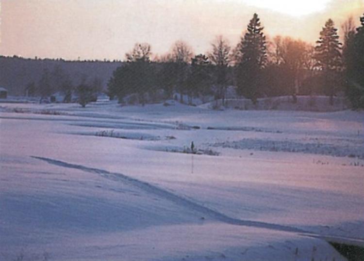 Trastens väg 1 – bild 5
