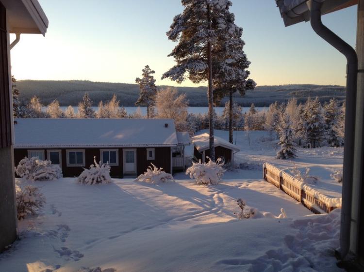 Skogsvägen 8 A – bild 3