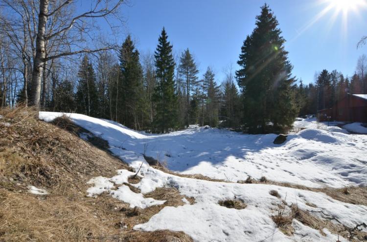 Morby Lövsund 240 – bild 5