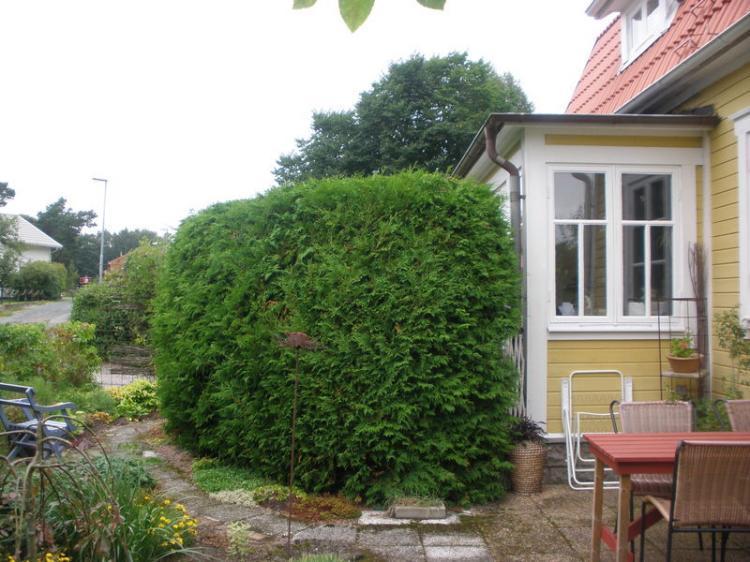 Söderliden 5 – bild 3