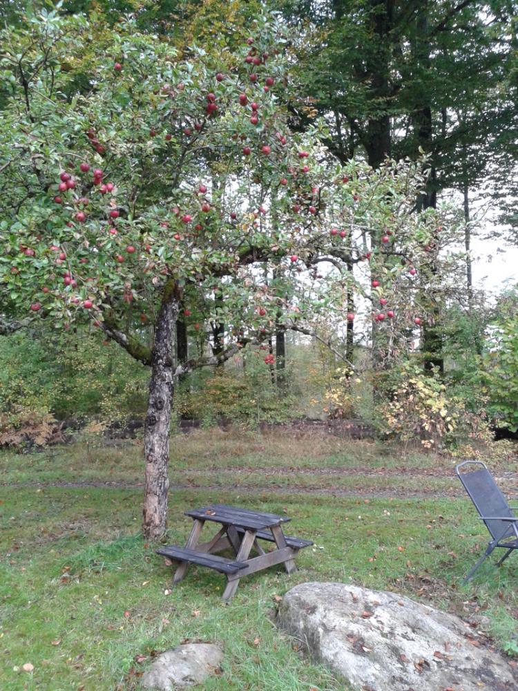 Mjönäsvägen 633 – bild 3