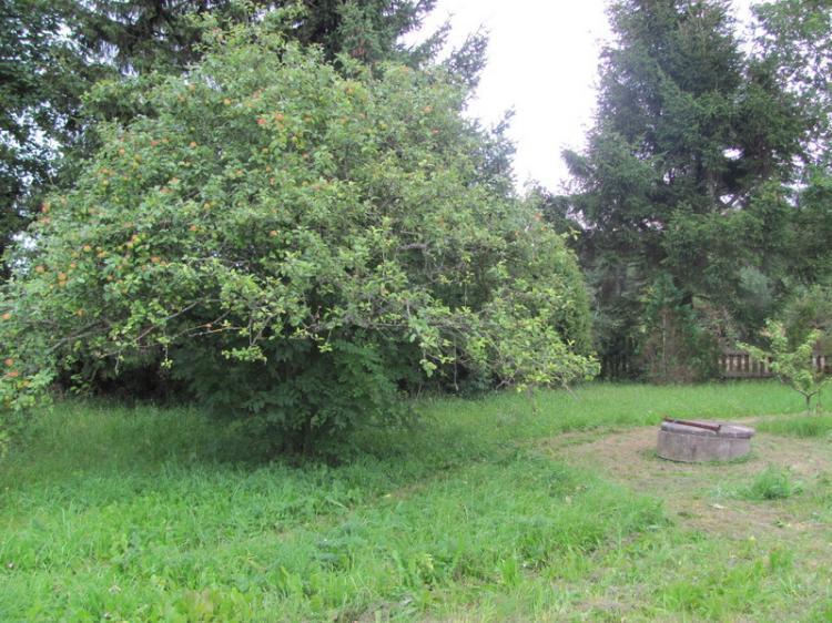 Garde Kulde 209 – bild 4