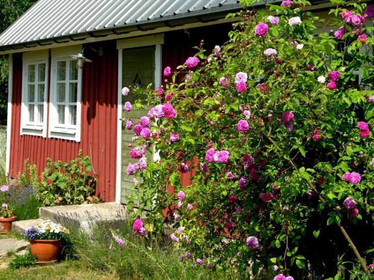 Gamle Mossevägen 42 – bild 4