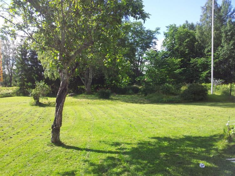 Upplanda 188 – bild 4