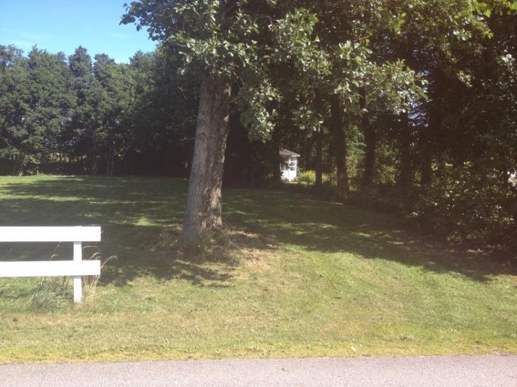 Paradis 8 – bild 5