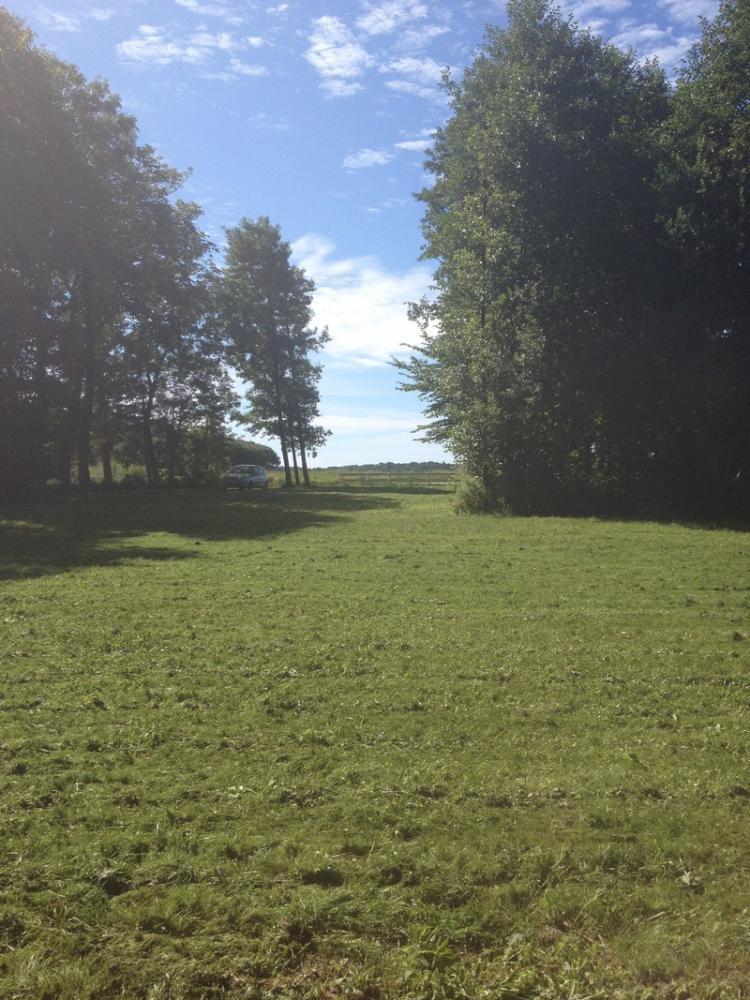 Paradis 8 – bild 3