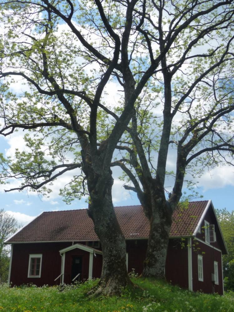 Kålshult 1 – bild 5