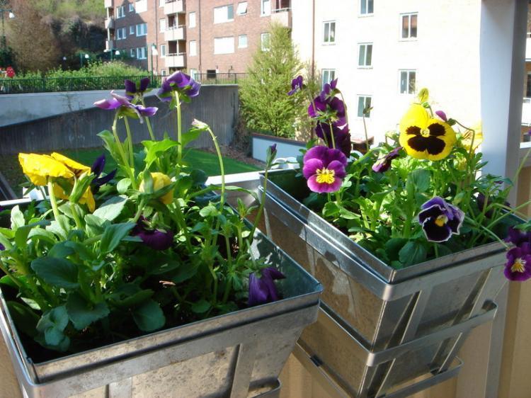 Södra Viktoriagatan 46C – bild 5