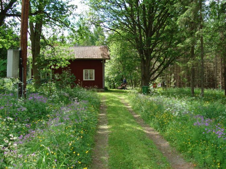 Bäcketorp Alkvettern – bild 3