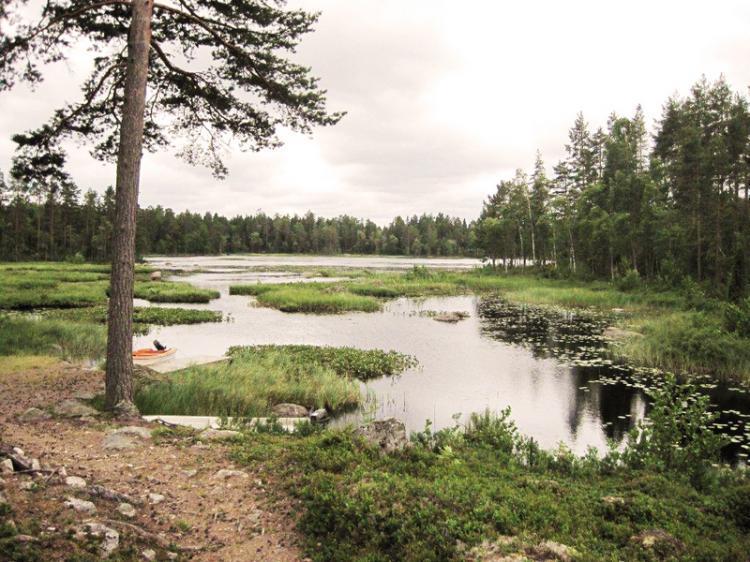 Skogsklövervägen 31 – bild 6