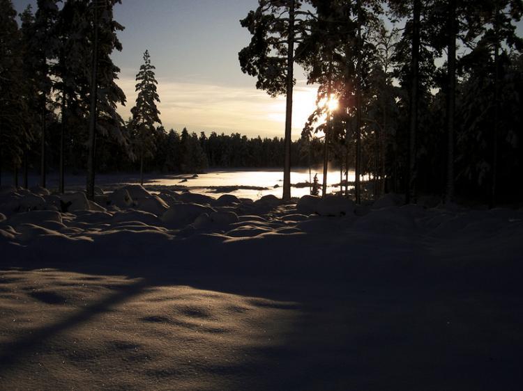Skogsklövervägen 31 – bild 7