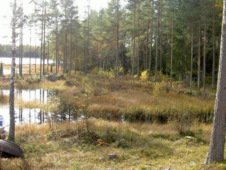 Skogsklövervägen 31 – bild 5