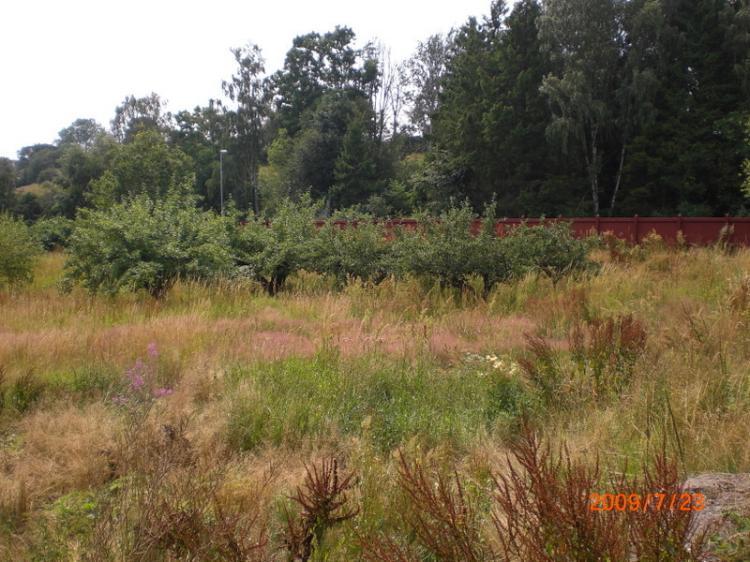 Svinaberga Backe 2 – bild 3