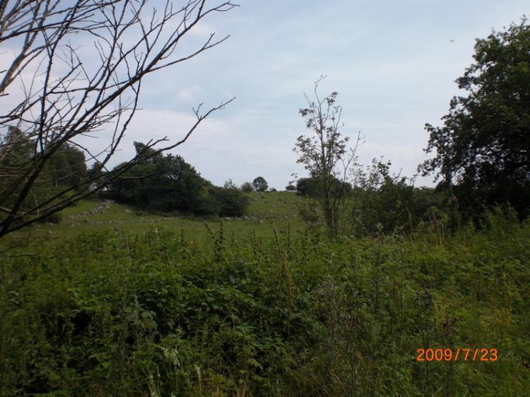 Svinaberga Backe 2 – bild 5