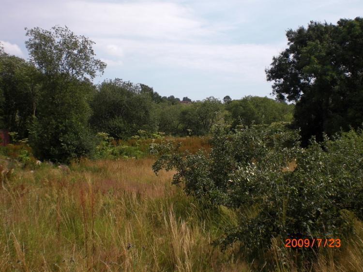 Svinaberga Backe 2 – bild 4