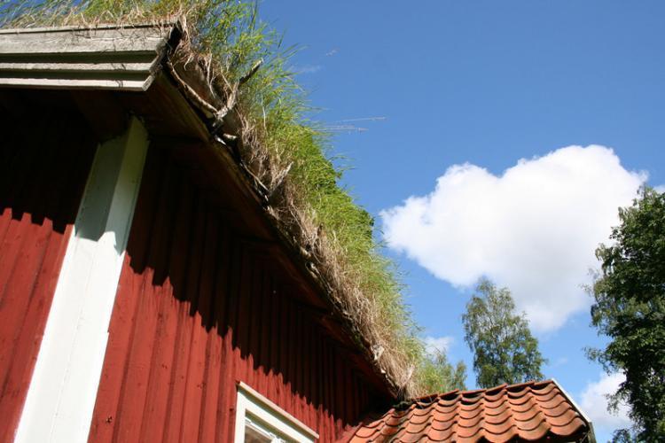 Gamla Brevik, Sör-Älgen 261 – bild 3