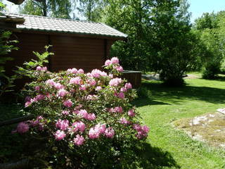 Backa Gård 117 – bild 4