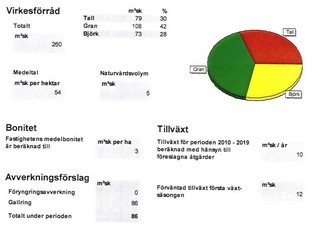Lycksele – bild 3