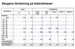Lycksele – bild 5