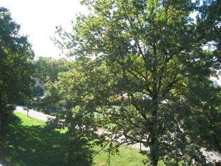 Järvstigen 11 – bild 8