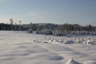 Norra Brusås 3 – bild 8