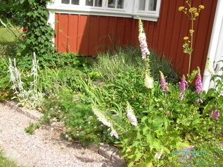 Floget 404 – bild 8
