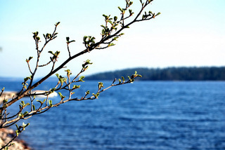 Stickvägen 1 – bild 6