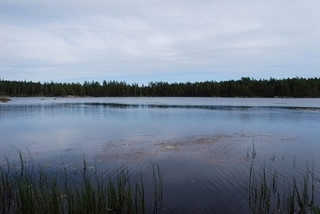 Pukemåla 2 – bild 7