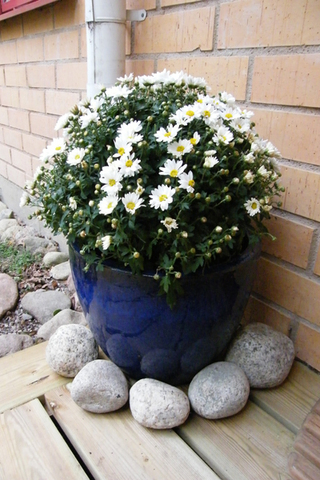 Spegelbacken 22 – bild 7