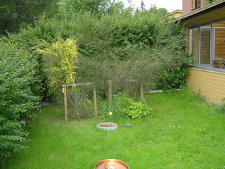 Kantelegatan 21H – bild 4