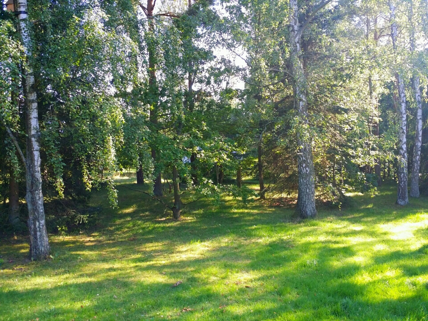 Lupinvägen – bild 4
