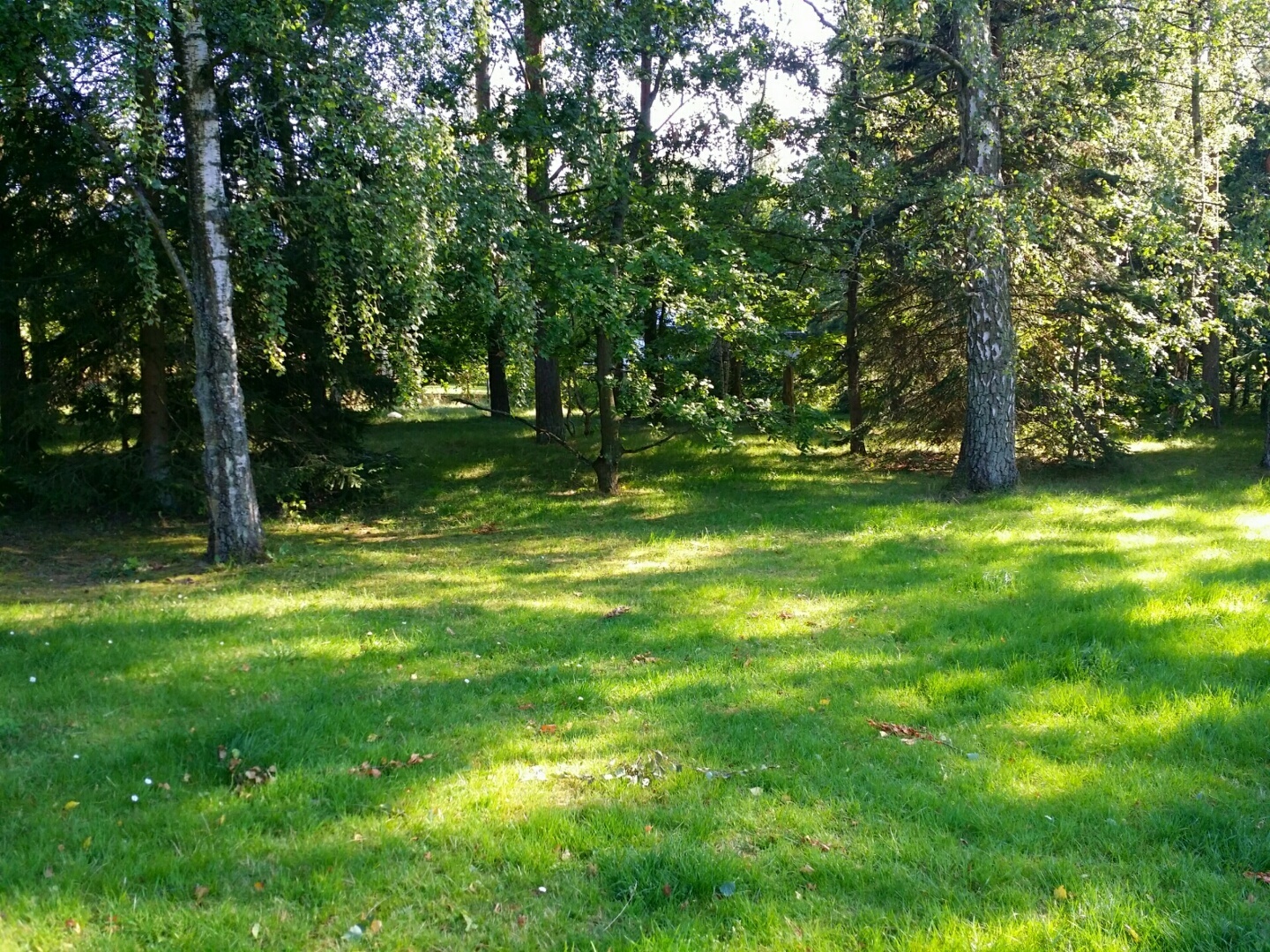 Lupinvägen – bild 5