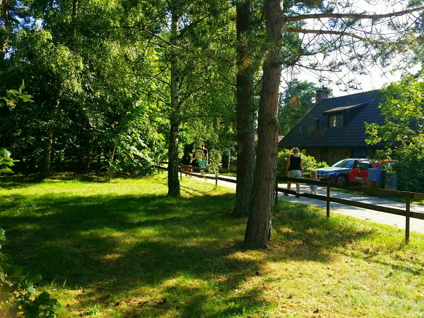 Lupinvägen – bild 7