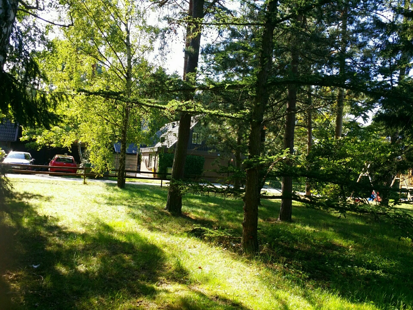 Lupinvägen – bild 6