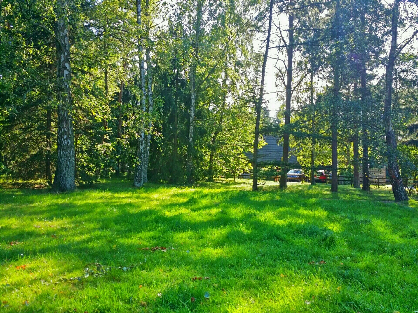 Lupinvägen – bild 3