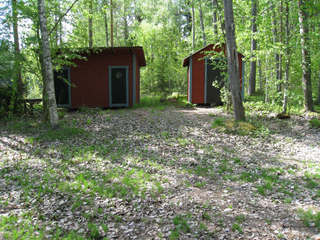 Sågmyra – bild 3