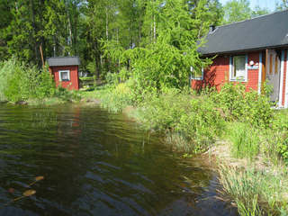 Sågmyra – bild 5