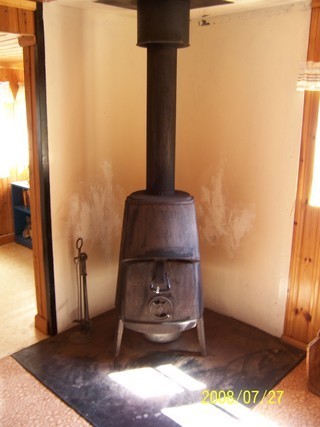 Sågmyra – bild 8
