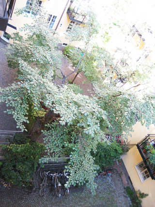 Kapellgränd 19 – bild 3