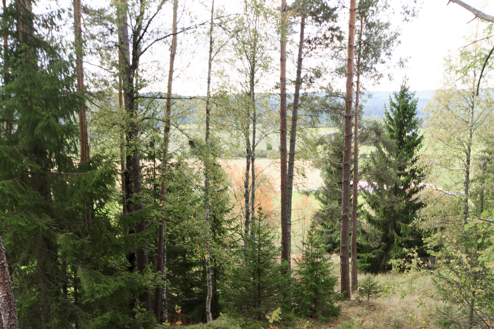 Knävland 106 – bild 3