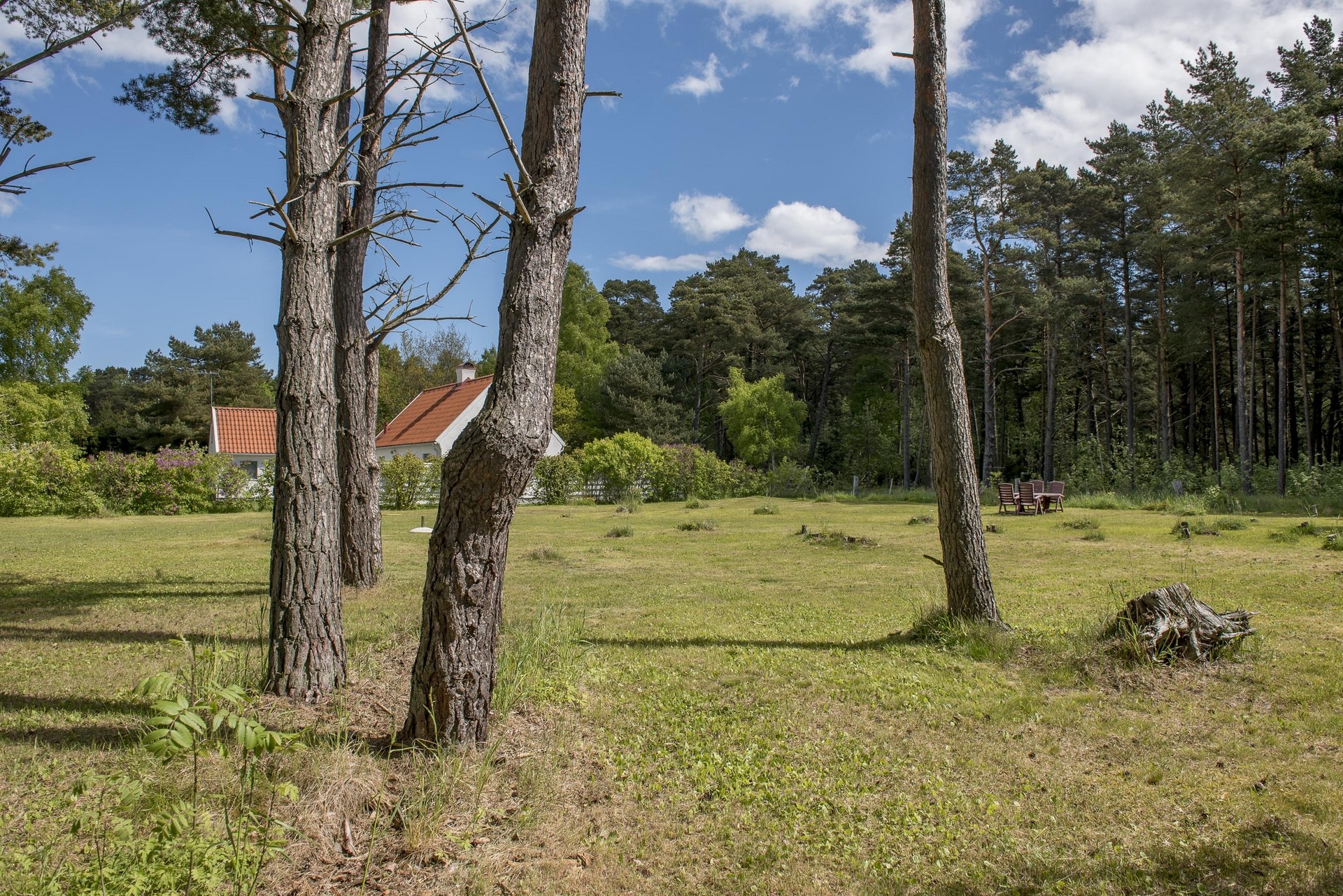 Östergarn Falhammars 262 – bild 4